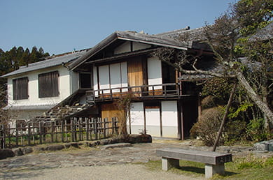 画像：
