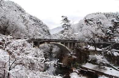 画像：