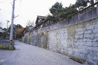 画像：