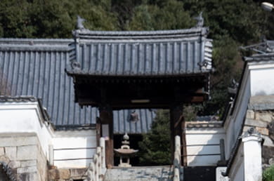 画像：