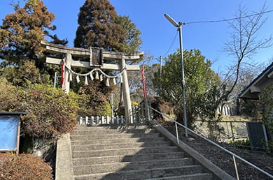 画像：