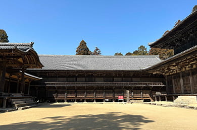 画像：