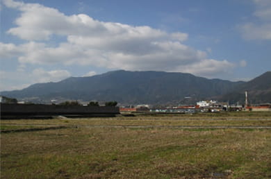 画像：