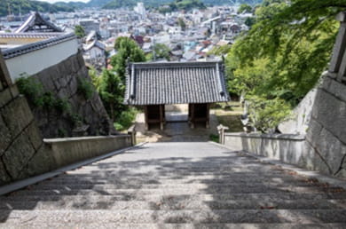 画像：