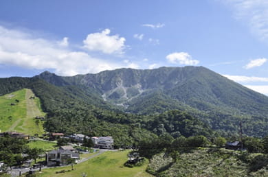 画像：