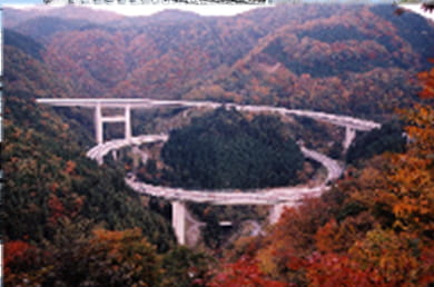 画像：