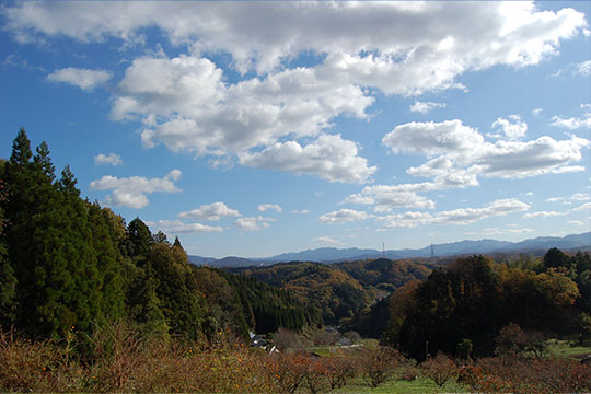 画像：三沢城跡