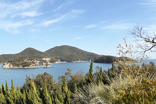 画像：大可島城