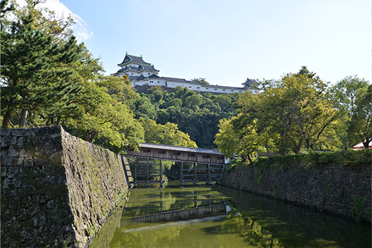 画像：和歌山城（虎伏山竹垣城）