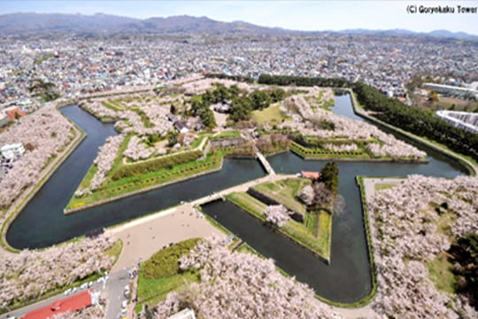 画像：五稜郭公園