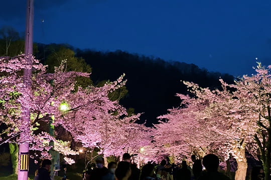 画像：東明公園