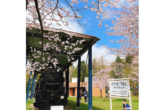 画像：栗山公園