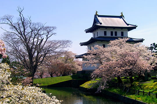 画像：松前公園