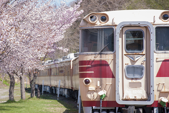 画像：クロフォード公園
