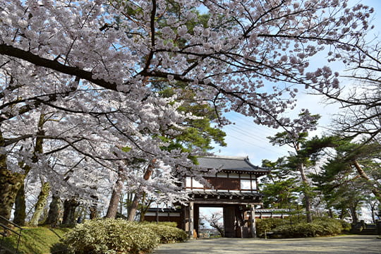 画像：千秋公園