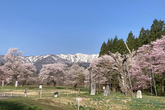 画像：釜の越農村公園