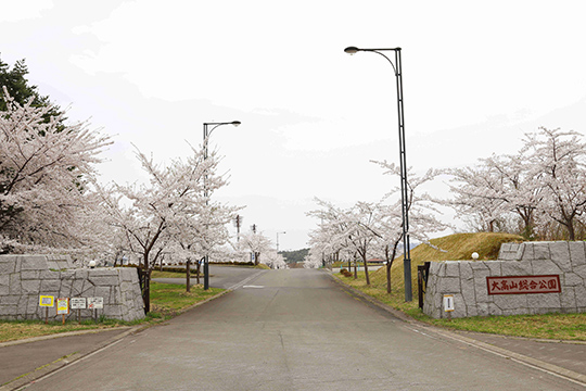 画像：大高山総合公園