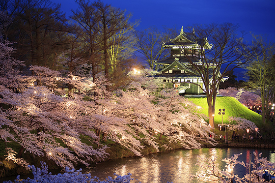 画像：高田城址公園