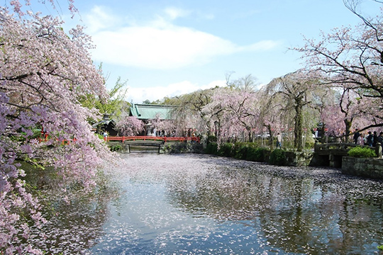 画像：三嶋大社