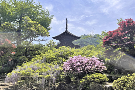 画像：前山寺