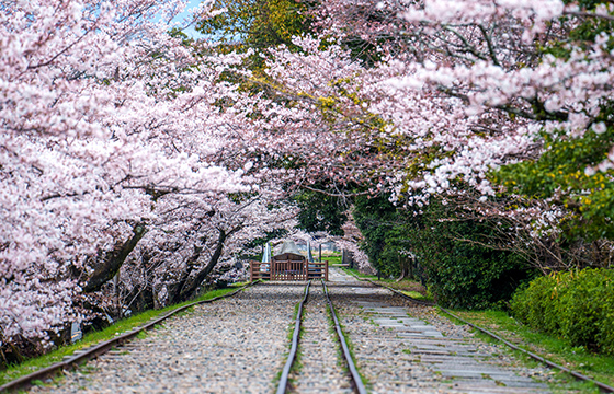 画像：蹴上インクライン