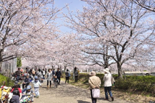 画像：泉佐野市総合文化センター