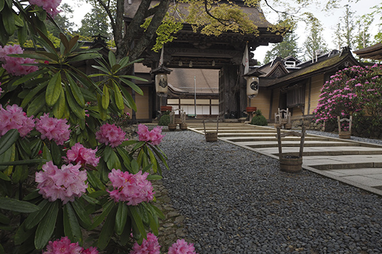画像：高野山真言宗 総本山金剛峯寺本坊