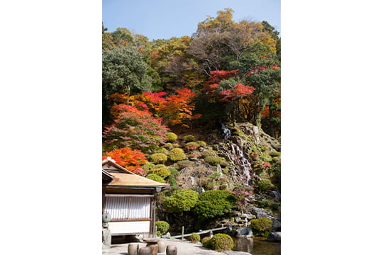 画像：櫻井家住宅