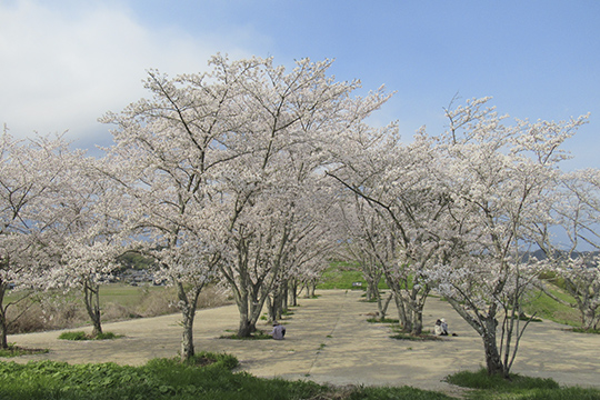 画像：造山古墳