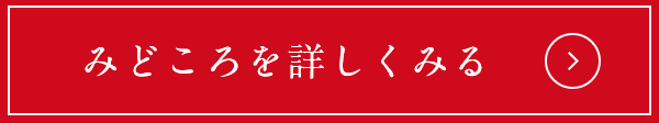 みどころを詳しくみる