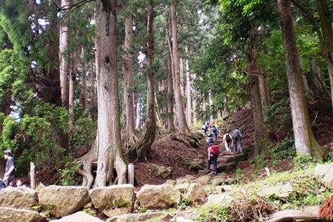 大山登山