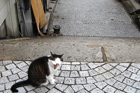 路地・坂道