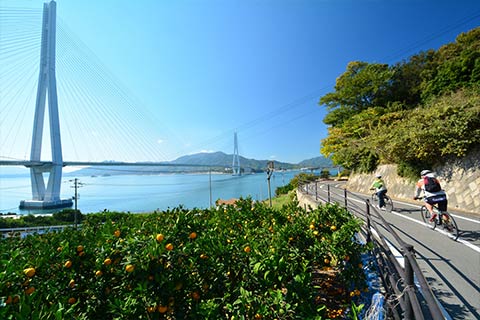 しまなみ海道サイクリング体験