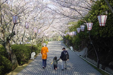 桜の名所