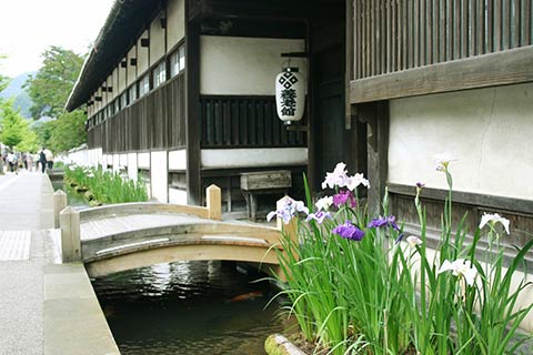 藩校養老館