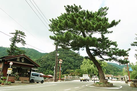 大橋