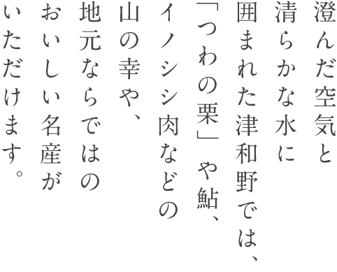澄んだ空気と清らかな水に囲まれた津和野では、「つわの栗」や鮎、イノシシ肉などの山の幸や、地元ならではのおいしい名産がいただけます。