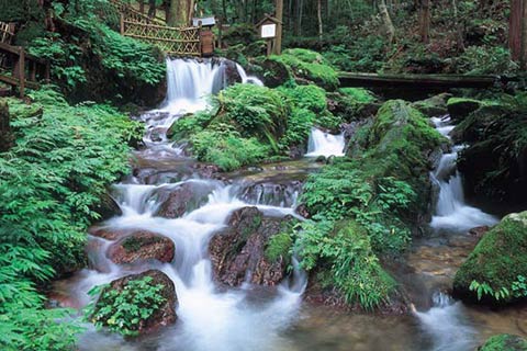 名水百選 瓜割の滝