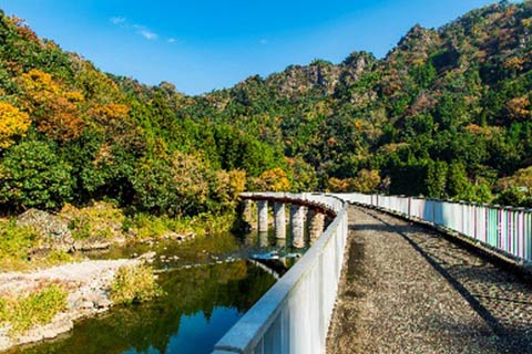 旧耶馬渓鉄道線路跡サイクリングロード