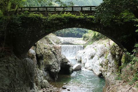魔林峡