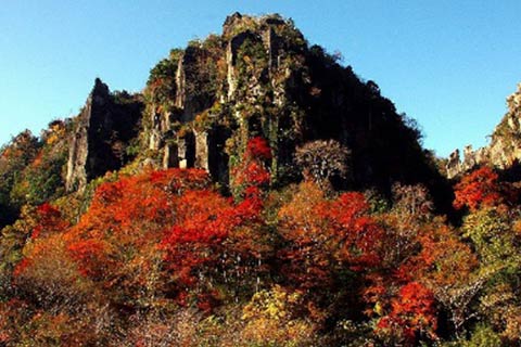 一目八景